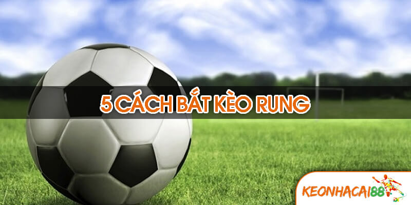 5 cách bắt kèo rung hiệu quả nhất từ cao thủ