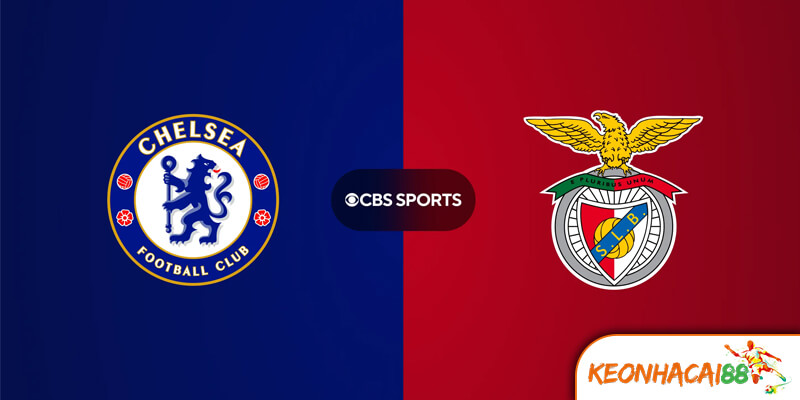 Soi Kèo Chelsea vs Benfica: Đêm Quyết Đấu Tại Stamford Bridge